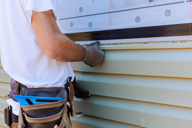 Affordable Vinyl Siding solutions in Arden, NC